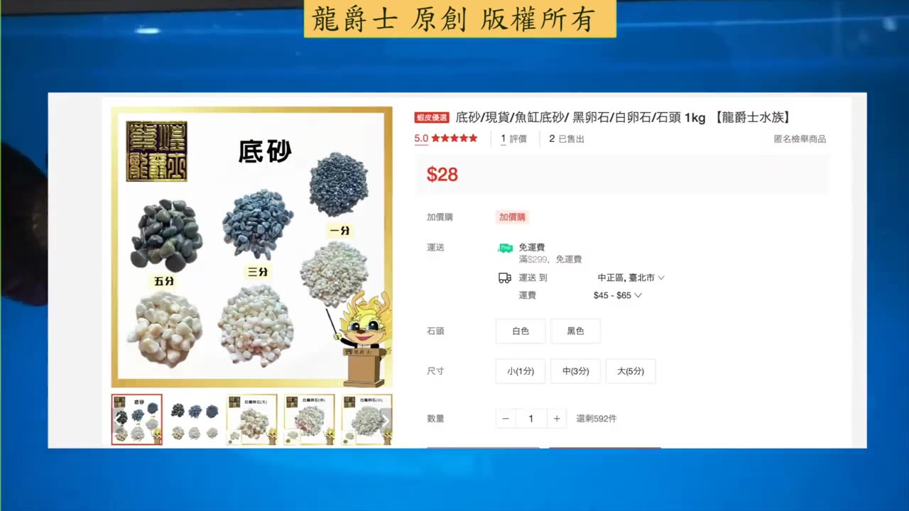【龍爵士】千問千答 Q214 你們龍魚缸底部鋪甚麼石頭