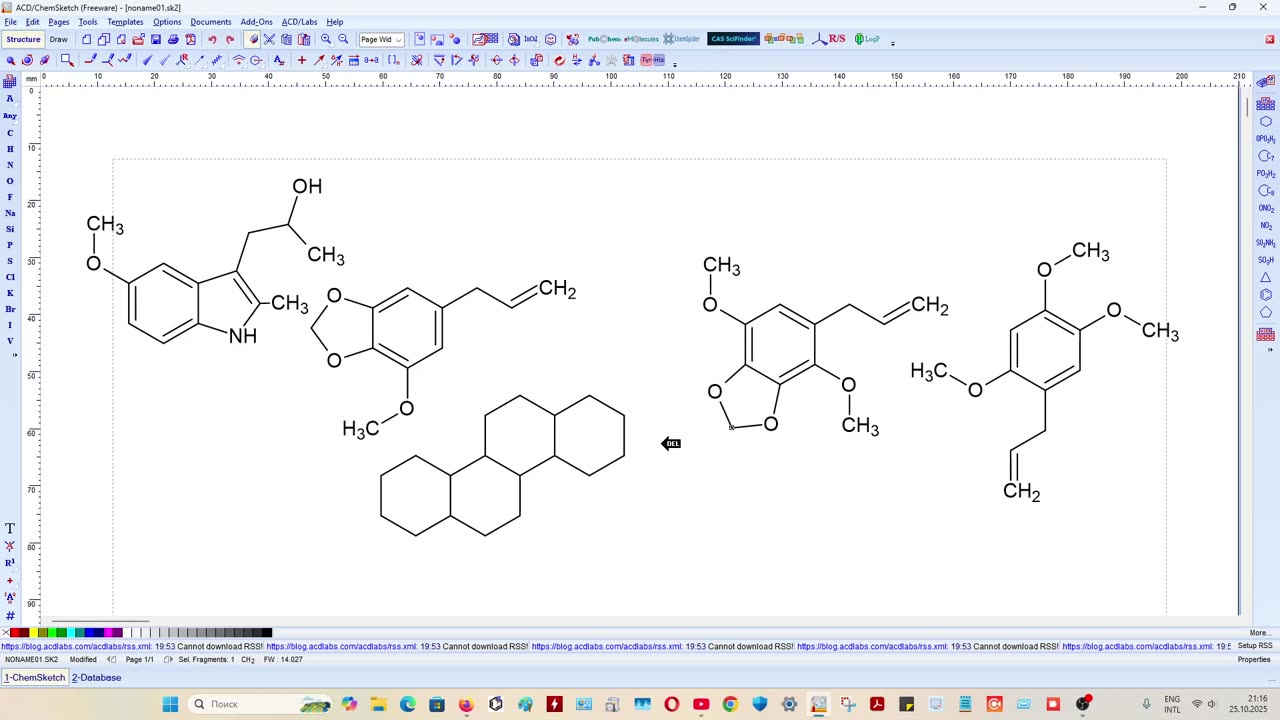 Кавалерийский наскок. Ноотропы, нейротрофные препараты, нейрогенез, нейропластичность.