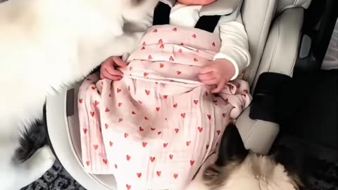Furever 😘friends