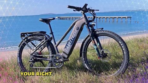 Lankeleisi MX600 Pro Electric Bike 500W motor 48V 20Ah battery 7 speeds Electric Bike