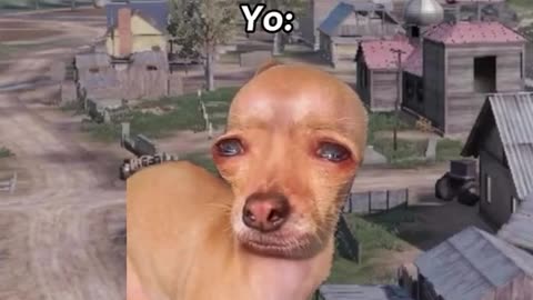 🤣🤣🤣