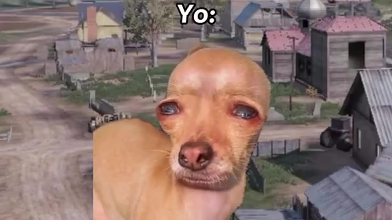 🤣🤣🤣