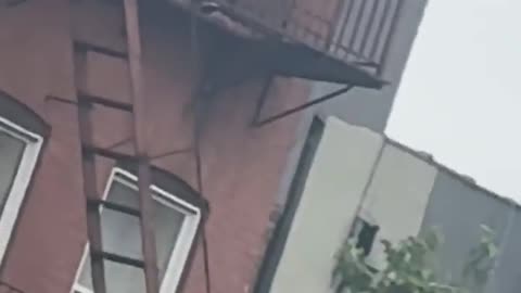😂🚪 You Won't Believe What Happens When He Tries to Break In! | FunFM