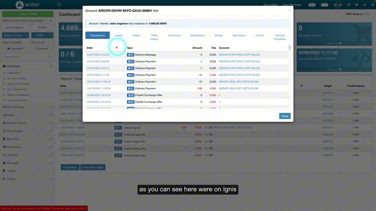 95 How to View Account Information on the Ardor Blockchain