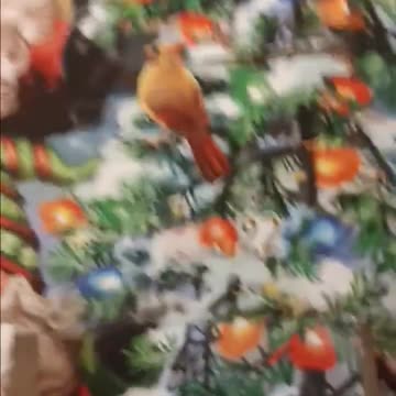 Kickoff to the 2023 Advent Calendar: Day 22 Revealed!