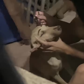 "That moment when you send a risky text and immediately regret it."