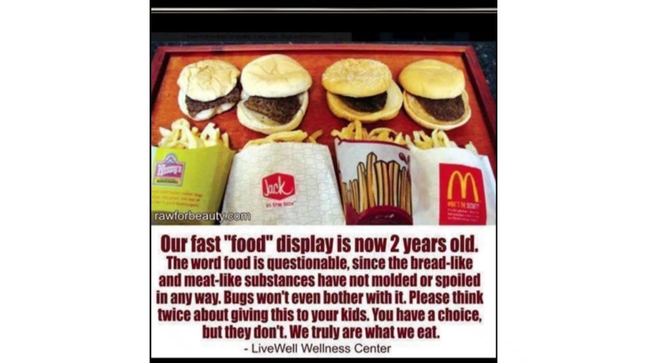 Our Fast Food Displayed is Now 2 years old.