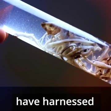 HORRIFIC FINDINGS IN CORPSES - THE GENE 🧬 THERAPY