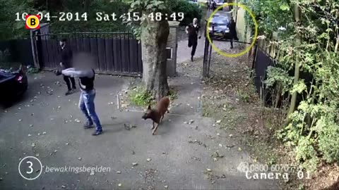 Bartjebom krijgt bezoek van Iranier en z’n albaneze vrienden😂😂😂😂