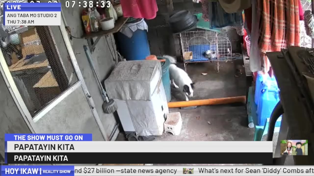 Mitsubishi Xpander 2019 Live