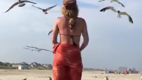 Seagulls hungry for sardines on the beach