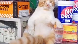 My shift at work...