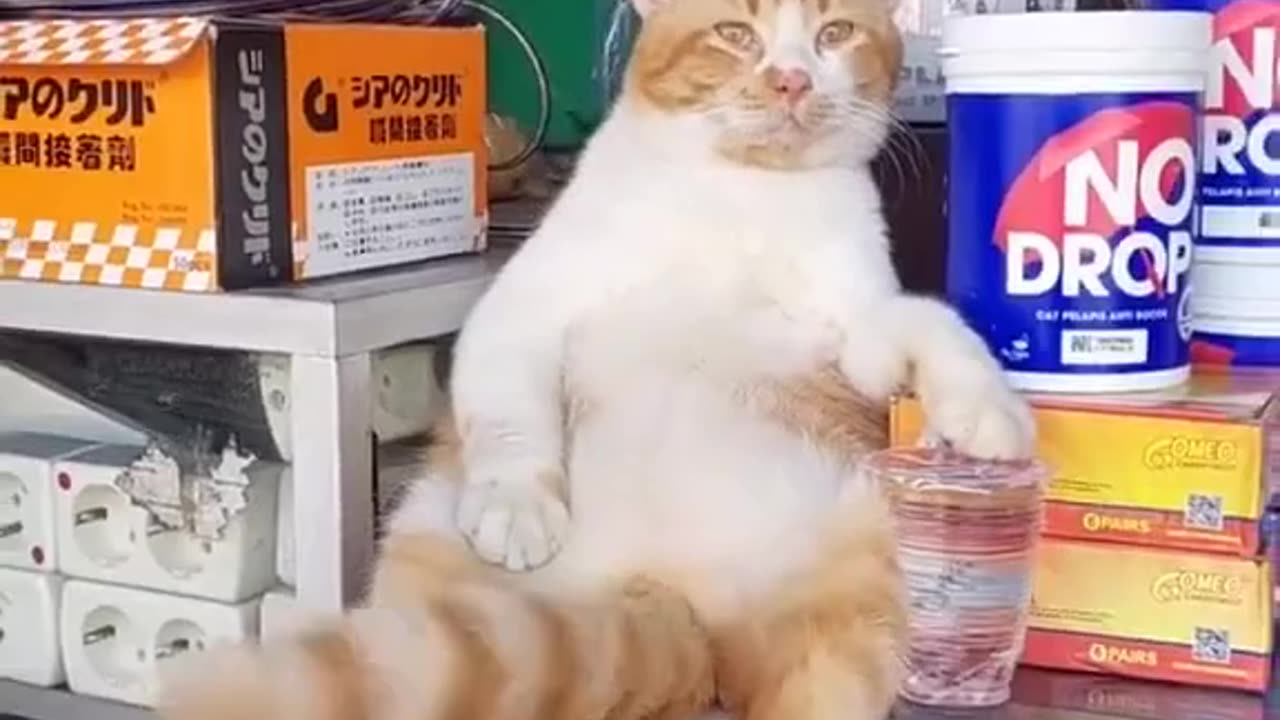 My shift at work...