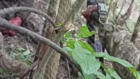 War in ukraine