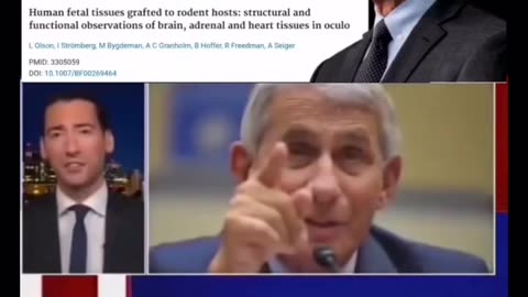 "SHOCKING" Whistle blower gives account on Anthony Fauci barbaric experiment with aborted fetuses