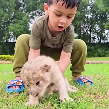 Nature's Beautiful Animal Evolution #animaljourney #animaltransformation #beautifulnature