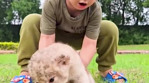 Nature's Beautiful Animal Evolution #animaljourney #animaltransformation #beautifulnature