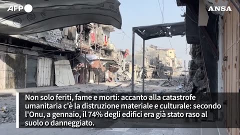 NOTIZIE DAL MONDO Gaza City:cosi' era la città palestinese prima della guerra tra i terroristi islamici di Hamas e lo stato sionista d'Israele di Milejkowski finanziato dalla lobby AIPAC