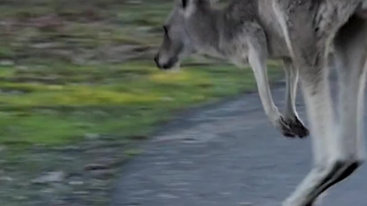 Follow Your Heart & Not Your Mind