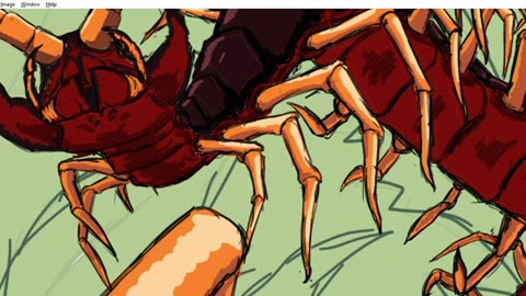 Scolopendra