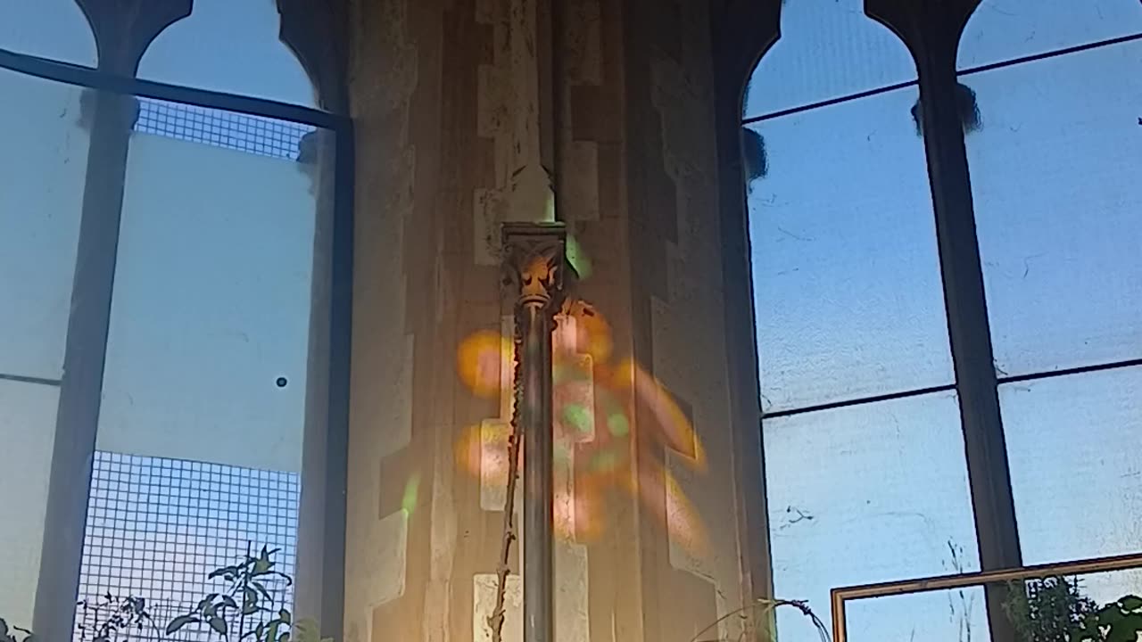 Elon Musk the flowerpot man