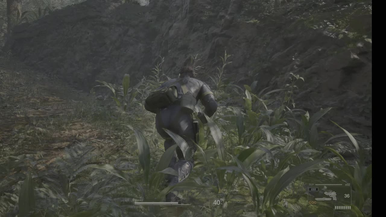 Mgs Delta - 9