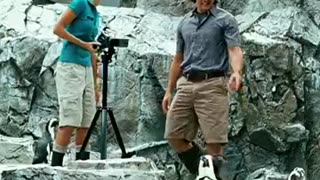 🎬_Good_Luck_Chuck__2007__-_Cursed_to_be_a_Love_Bridge__😱💘_#shorts