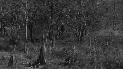 JUNGLE WARFARE TRAINING CENTER, G... - JUNGLE WARFARE TRAINING CENTER, GUDALUR, INDIA - 111-adc-3497