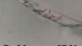 Antarctic Pressure Seal: Ship vs Ice #Science #Antarctica