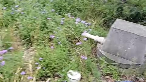 How much does it cost to install a septic system