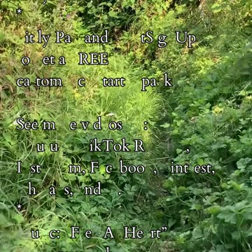 Balancing Action and Strength | Path and Tarot Reading