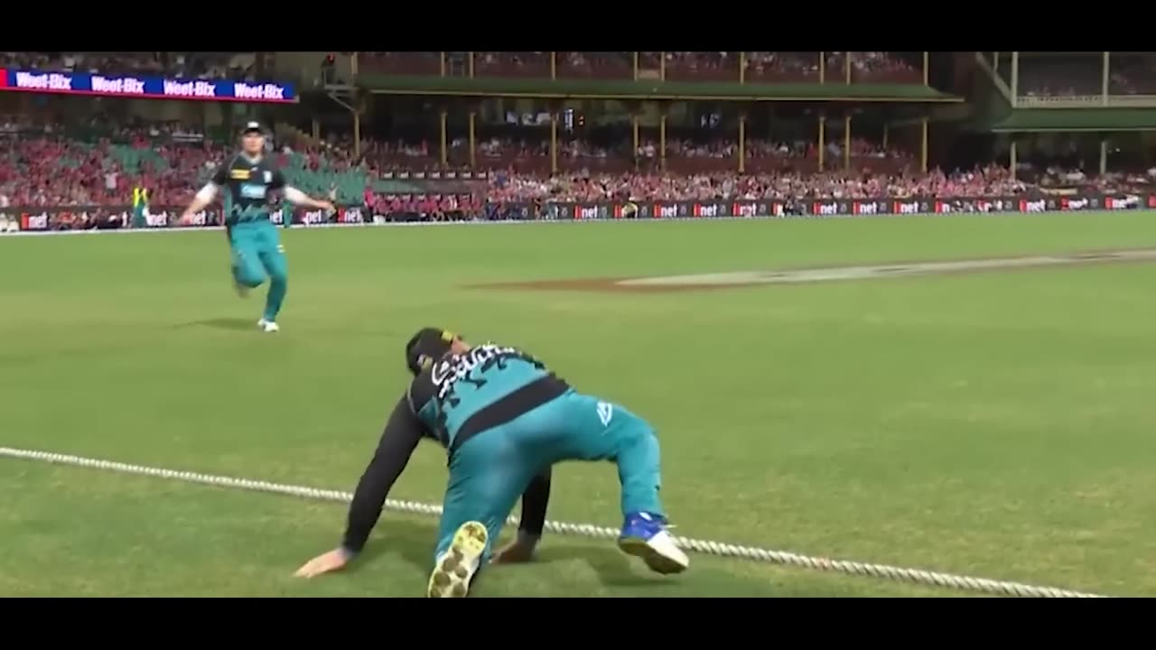 IQ Moments in Crickets