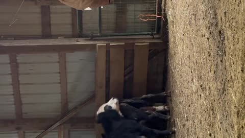 Ellie-Mae, 1/6/2026-4