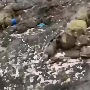 They could have surrendered