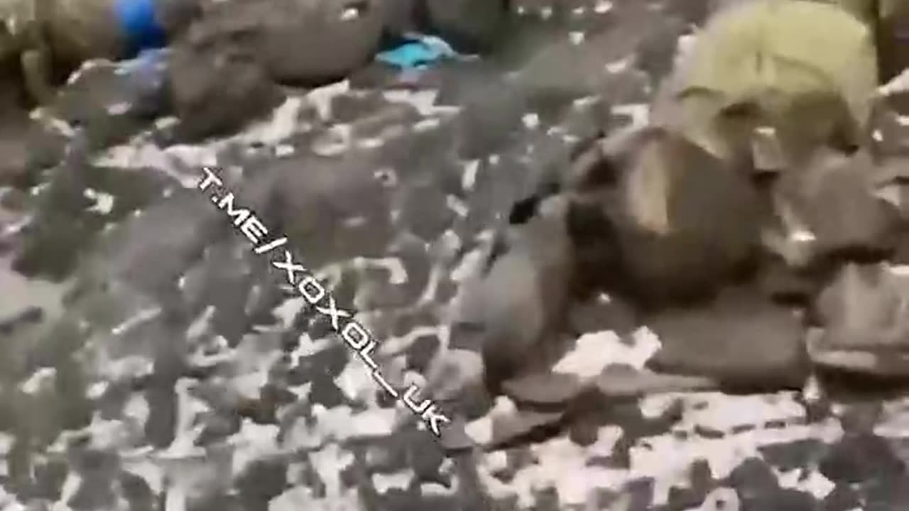 They could have surrendered