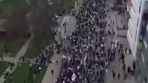 Belgrad 15.03.2025. Największy protest w historii Serbii. ❤️