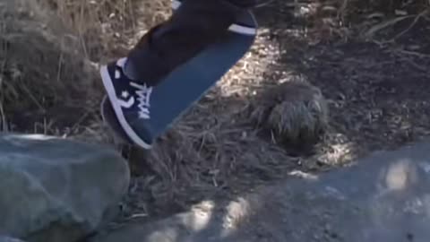 🤩🔥 50 Years Young! Still Ripping Hard | SkateNation