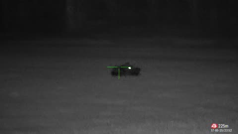 Hog Hunting Sweden .308