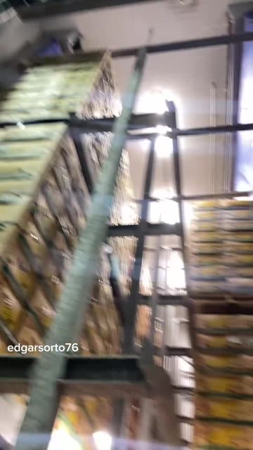 American shows how they gas our bananas to make them ripen faster