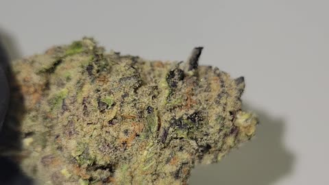 Unicorn Candy THCA Flower