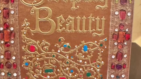 Disney Parks Sleeping Beauty Compact Size StorybookJournal #shorts