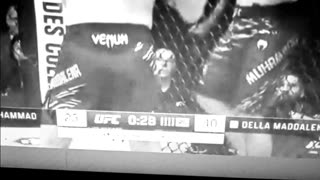 Jack and belal go to war....jack wins gold