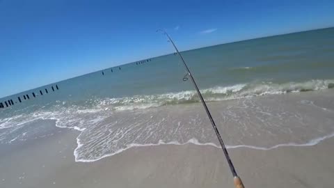 riprovo ad insidiare il pesce pompano con shrim1etri flotterati_part12