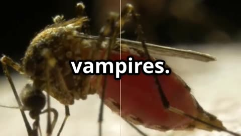 🦟💉 The Truth About Mosquitoes – Why They Prefer Type O Blood! 🩸🧬