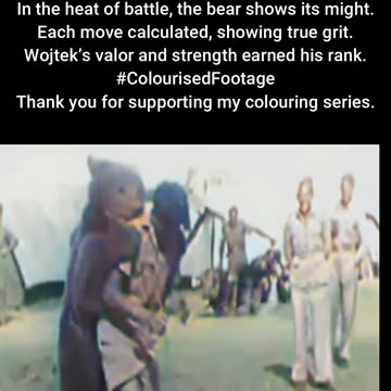 Wojtek the Bear Fights Soldier Earns Rank #ColourisedHistory
