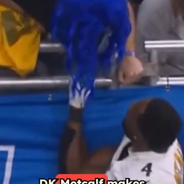 DK Metcalf Has Sideline Altercation With Fan