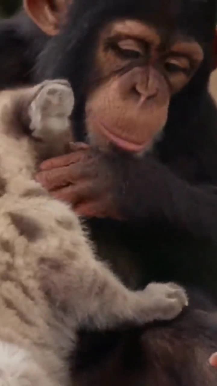 Special friendships 🥰