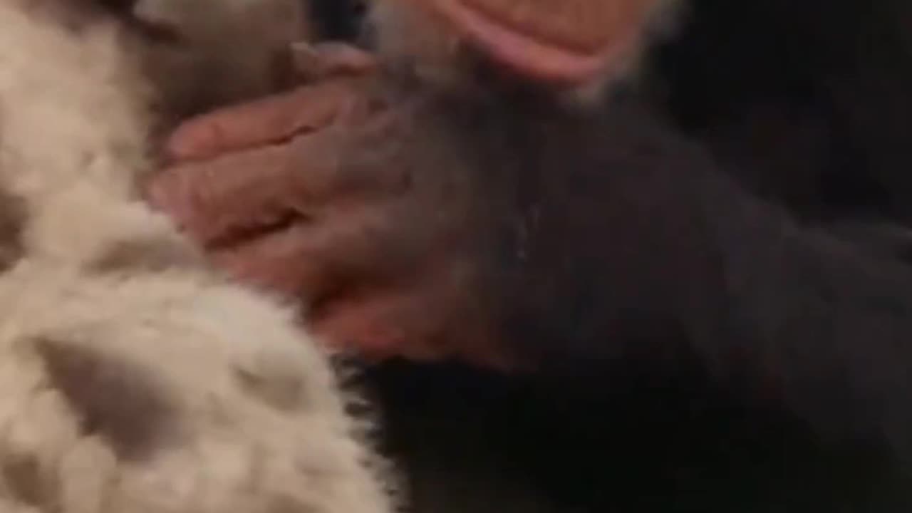 Special friendships 🥰