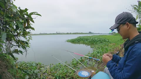 Gar Spearing in Murky River Backwaters