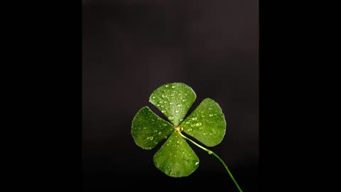 Tales of the valiant Luck point system